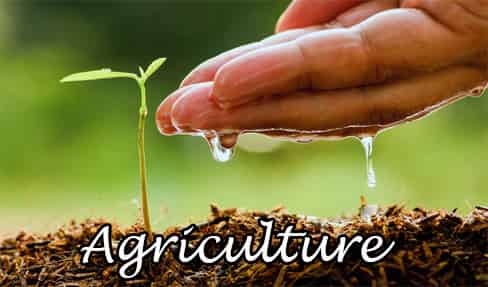 Agriculture General Knowledge