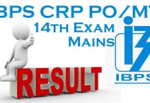 IBPS CRP PO/MT 14th Exam 2024 Mains Result IBPS Mains Result